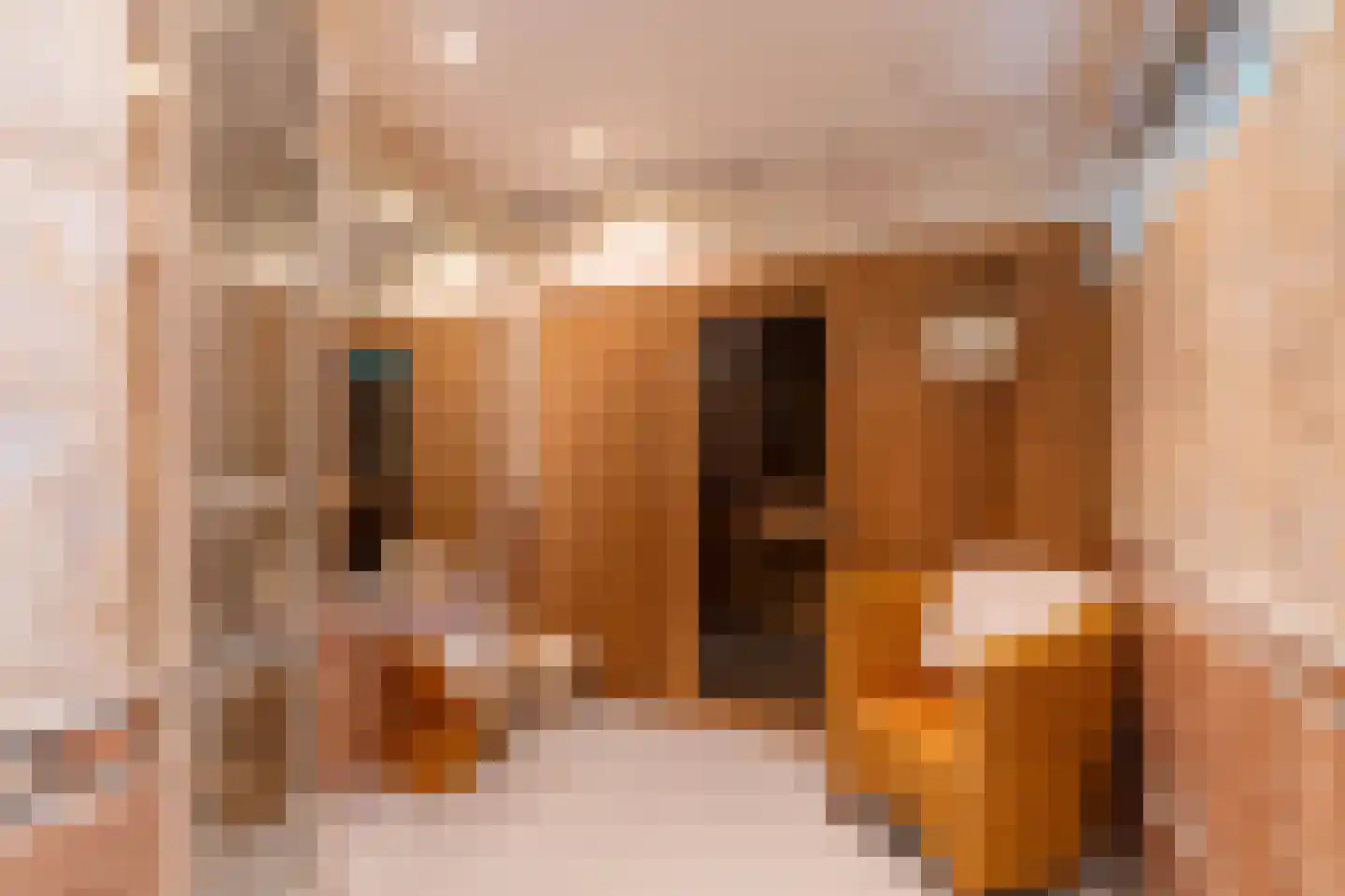 de Bergkamp 36 Overloon thumbnail 35