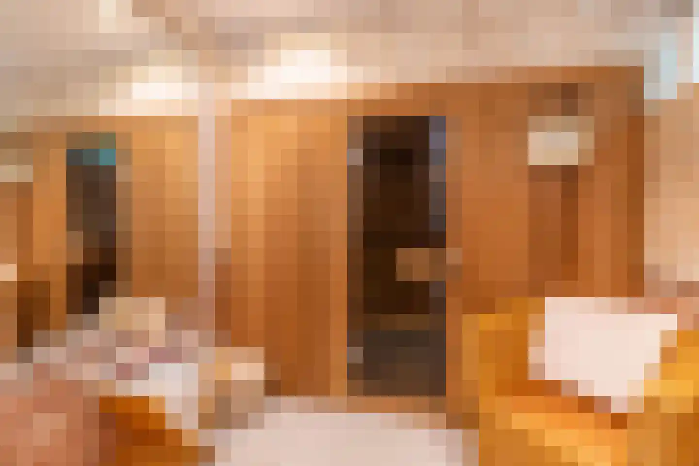 de Bergkamp 36 Overloon thumbnail 37