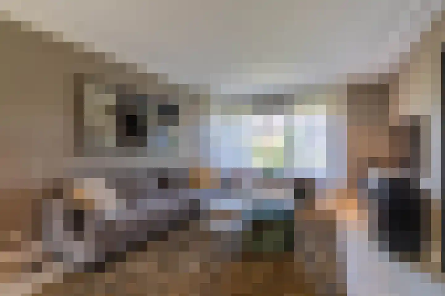 de Bergkamp 36 Overloon thumbnail 46