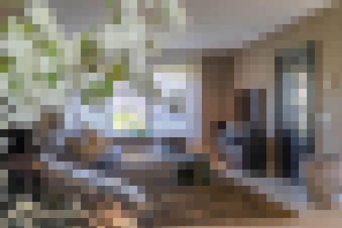 de Bergkamp 36 Overloon thumbnail 51
