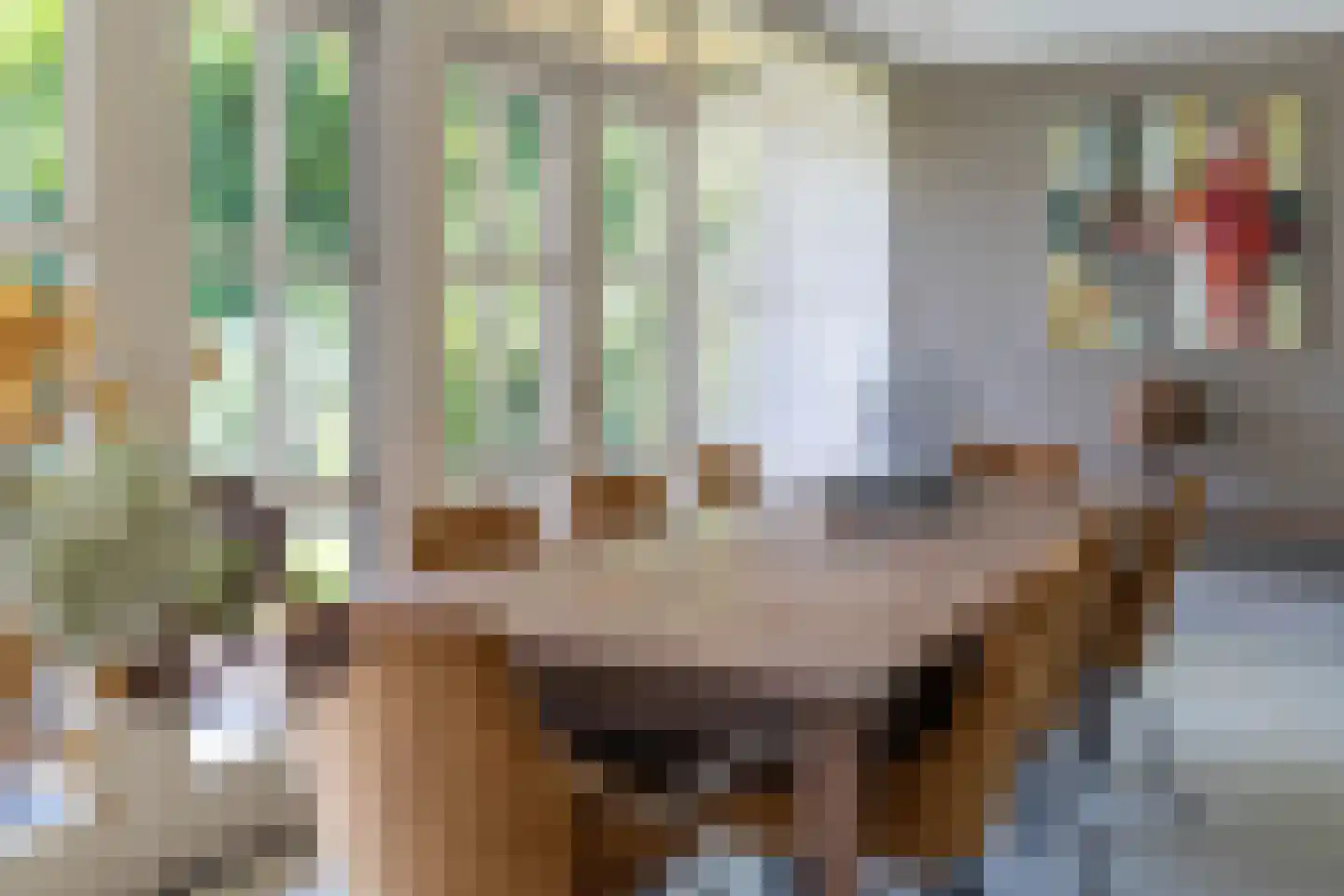 de Bergkamp 36 Overloon thumbnail 54