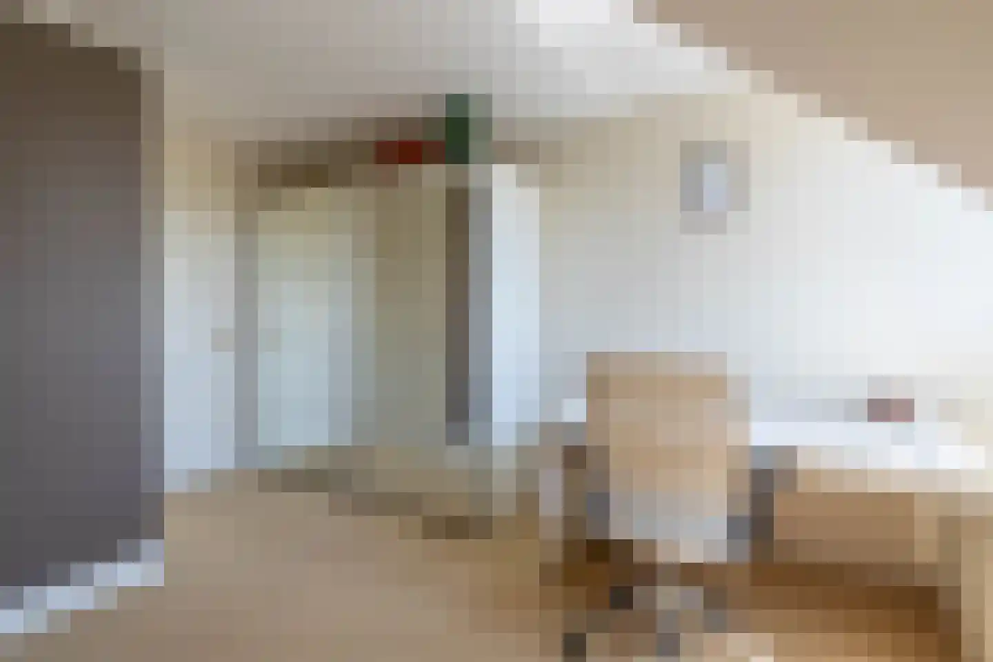 de Bergkamp 36 Overloon thumbnail 66