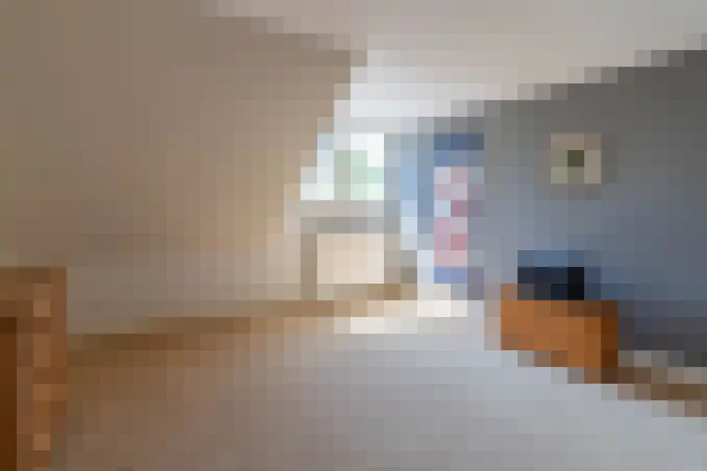 de Bergkamp 36 Overloon thumbnail 69