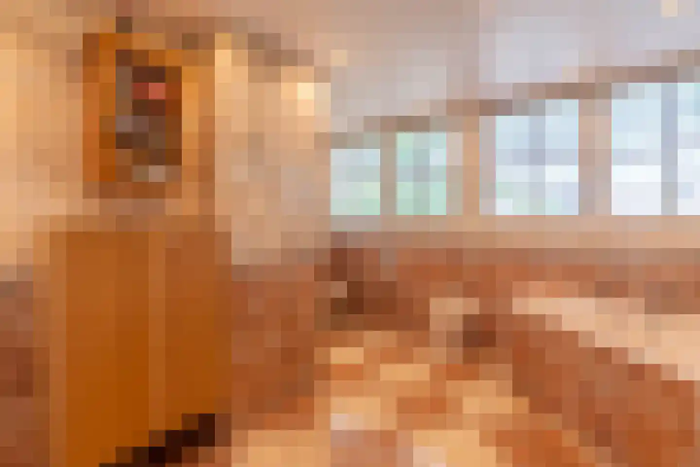 de Bergkamp 36 Overloon thumbnail 78