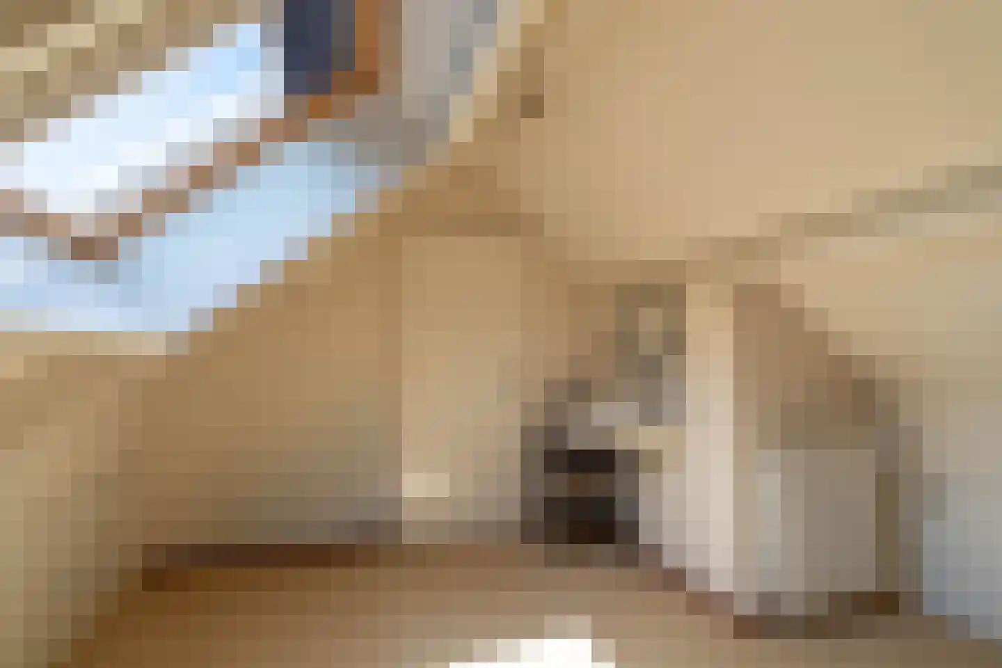 de Bergkamp 36 Overloon thumbnail 83