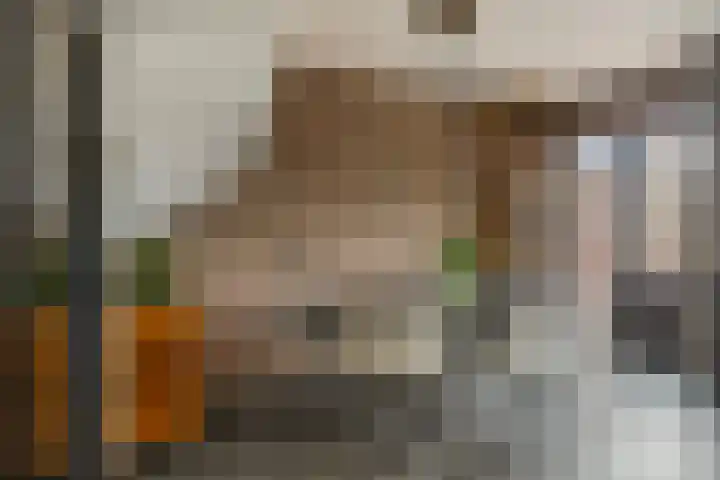 de Berk 10 Hellevoetsluis thumbnail 11