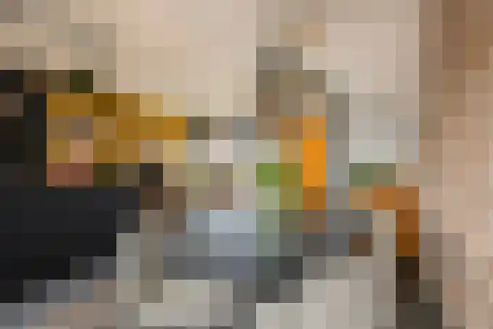 de Berk 10 Hellevoetsluis thumbnail 12