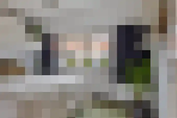 de Berk 10 Hellevoetsluis thumbnail 15