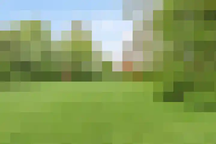 de Berk 10 Hellevoetsluis thumbnail 25