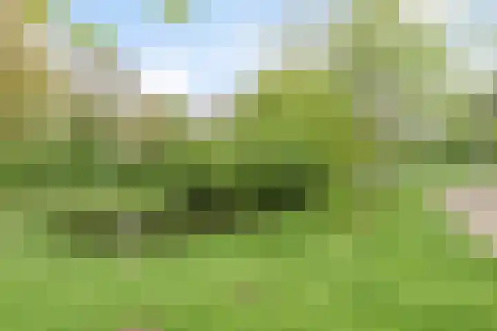de Berk 10 Hellevoetsluis thumbnail 26