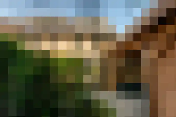 de Berk 11 Hoogerheide thumbnail 25