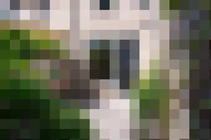 de Berk 11 Hoogerheide thumbnail 26