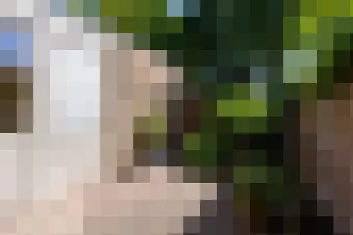 de Berk 11 Hoogerheide thumbnail 28