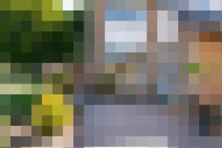 de Berk 11 Hoogerheide thumbnail 32