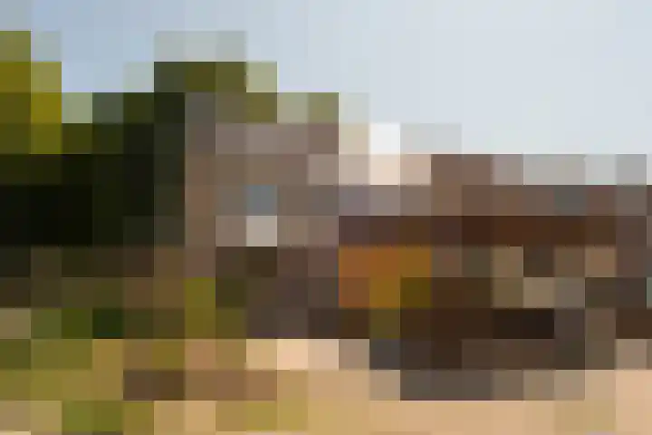 de Berk 11 Hoogerheide thumbnail 33
