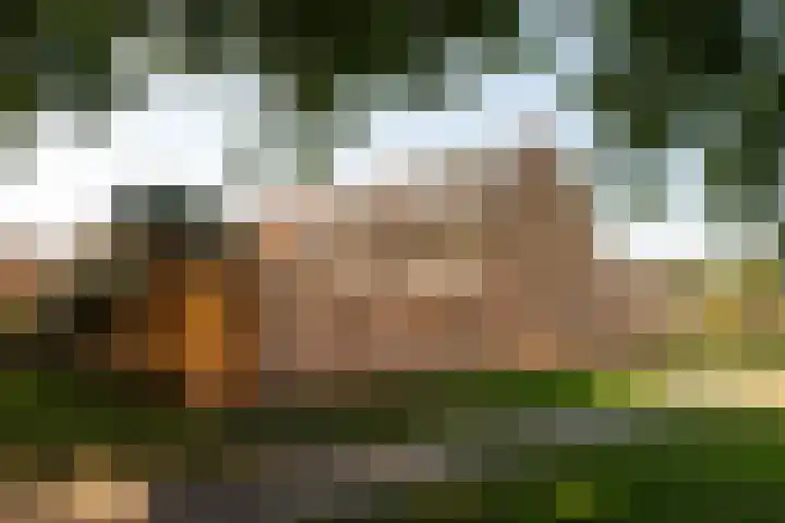 de Berk 11 Hoogerheide thumbnail 35