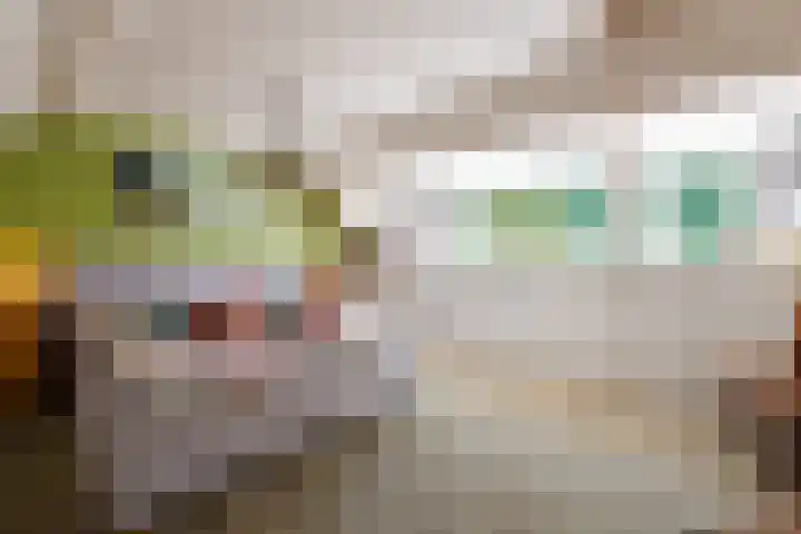 de Berk 11 Hoogerheide thumbnail 4
