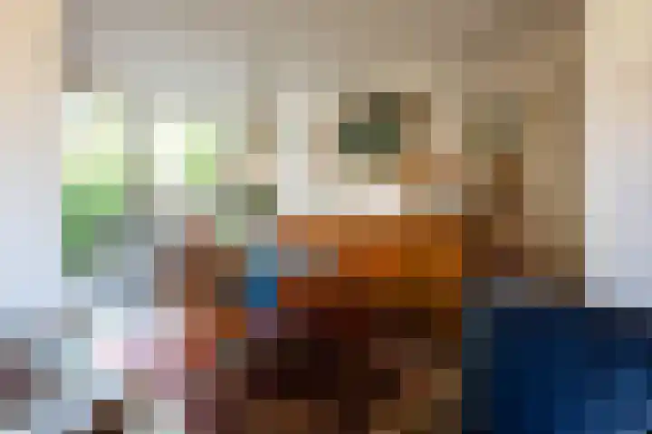 de Berk 11 Hoogerheide thumbnail 8