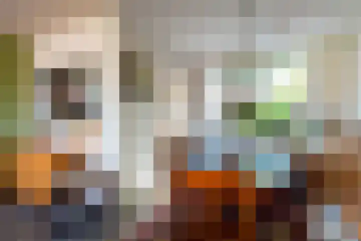 de Berk 11 Hoogerheide thumbnail 9