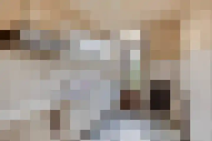 De Berk 11 Ouderkerk aan den IJssel thumbnail 10