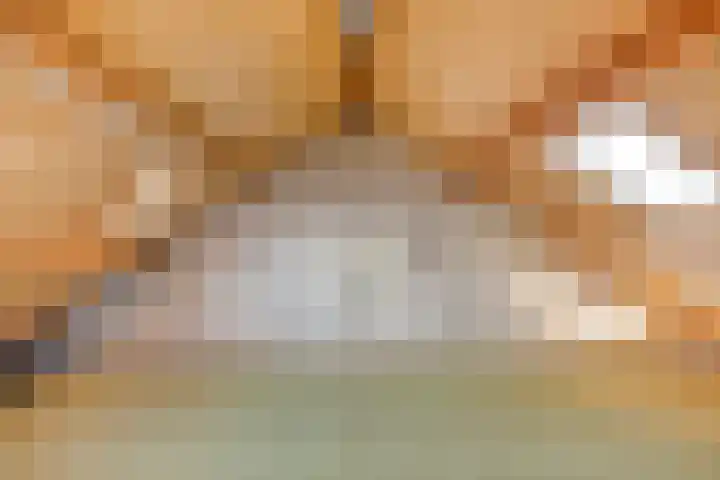 De Berk 11 Ouderkerk aan den IJssel thumbnail 22