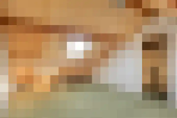 De Berk 11 Ouderkerk aan den IJssel thumbnail 23