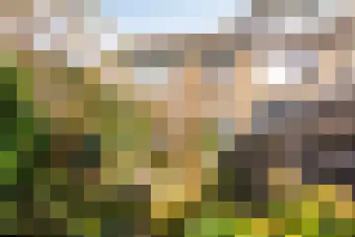 De Berk 11 Ouderkerk aan den IJssel thumbnail 26