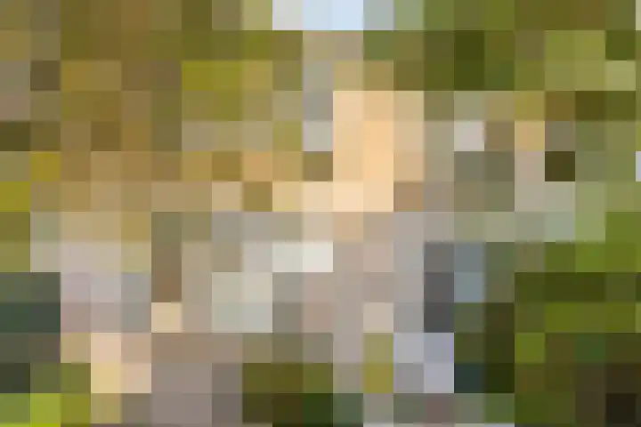 De Berk 11 Ouderkerk aan den IJssel thumbnail 27