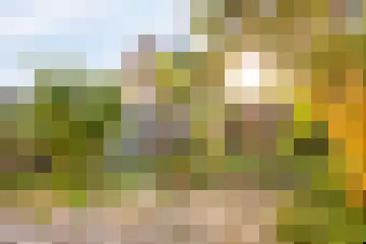 De Berk 11 Ouderkerk aan den IJssel thumbnail 28