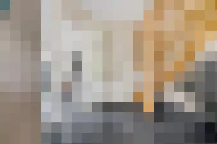 de Berk 12 Haaksbergen thumbnail 27