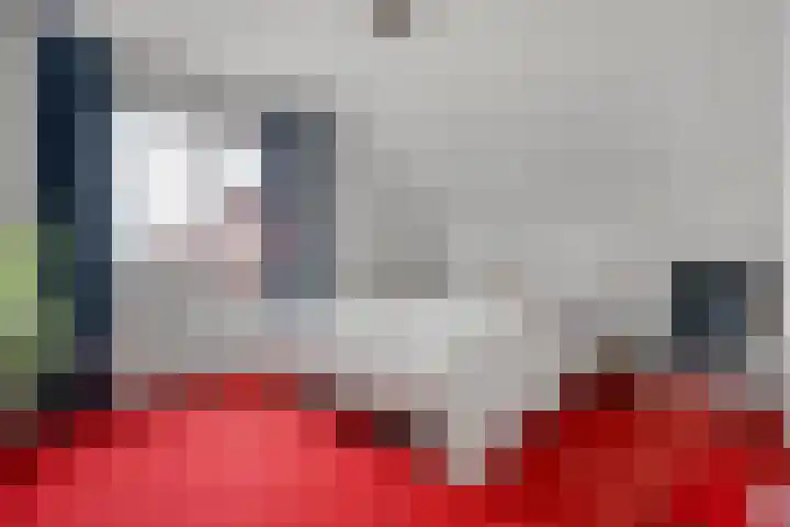 de Berk 12 Haaksbergen thumbnail 38