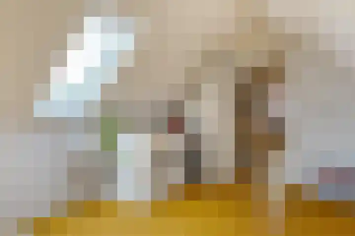 de Berk 12 Haaksbergen thumbnail 46