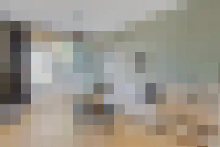de Berk 34 Hoogerheide thumbnail 11