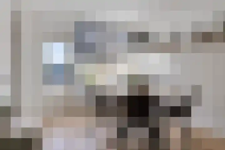 de Berk 34 Hoogerheide thumbnail 13