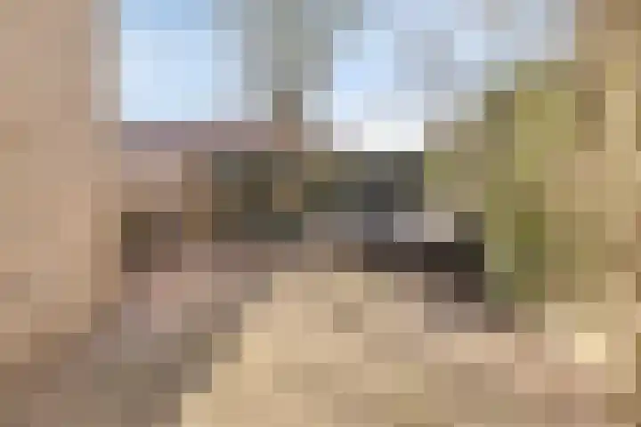 de Berk 34 Hoogerheide thumbnail 28