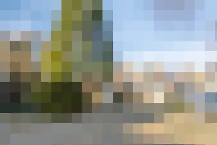 de Berk 34 Hoogerheide thumbnail 8