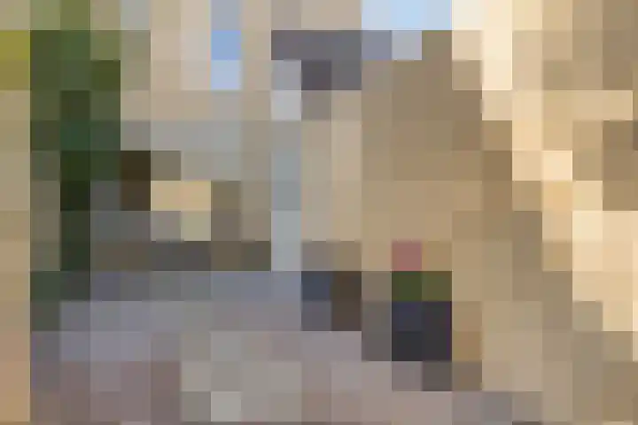 de Berk 34 Hoogerheide thumbnail 9