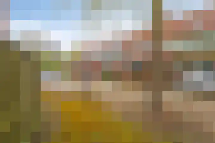 de Berk 37 Hellevoetsluis thumbnail 31