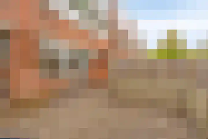 de Berk 37 Hellevoetsluis thumbnail 33