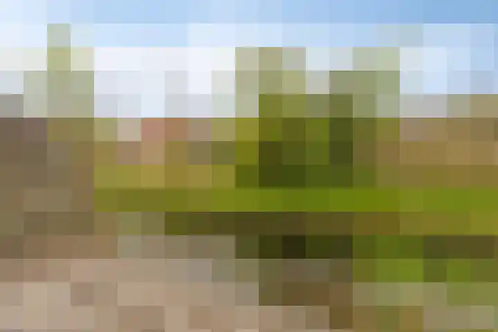 de Berk 37 Hellevoetsluis thumbnail 37