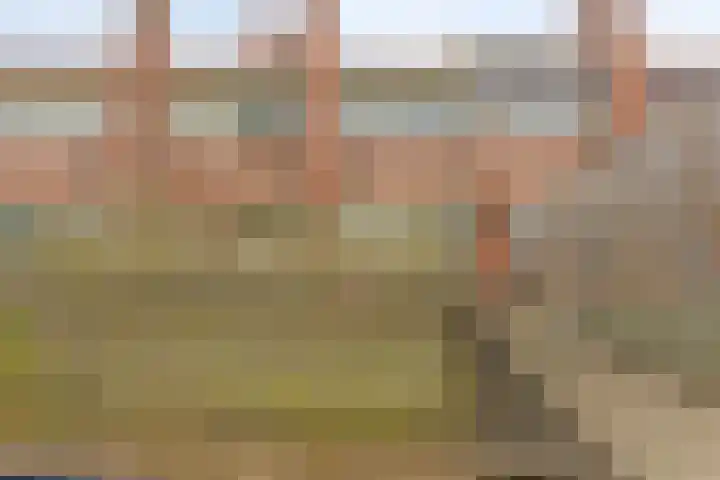 de Berk 37 Hellevoetsluis thumbnail 39
