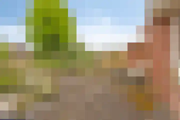de Berk 37 Hellevoetsluis thumbnail 4