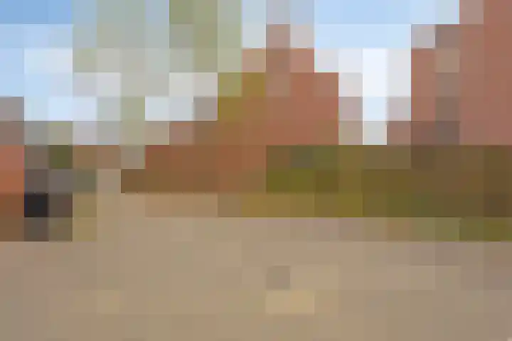 de Berk 37 Hellevoetsluis thumbnail 44