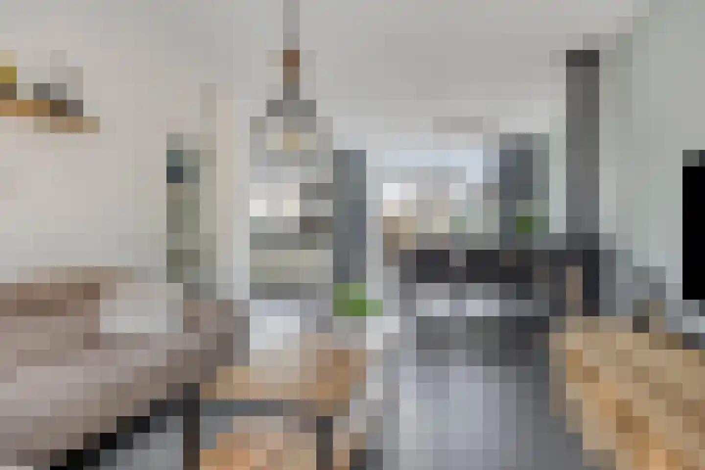 De Berk 8 Ouderkerk aan den IJssel thumbnail 13