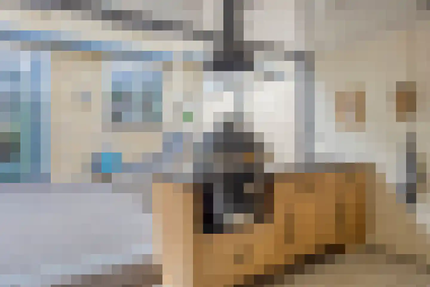 De Berk 8 Ouderkerk aan den IJssel thumbnail 35