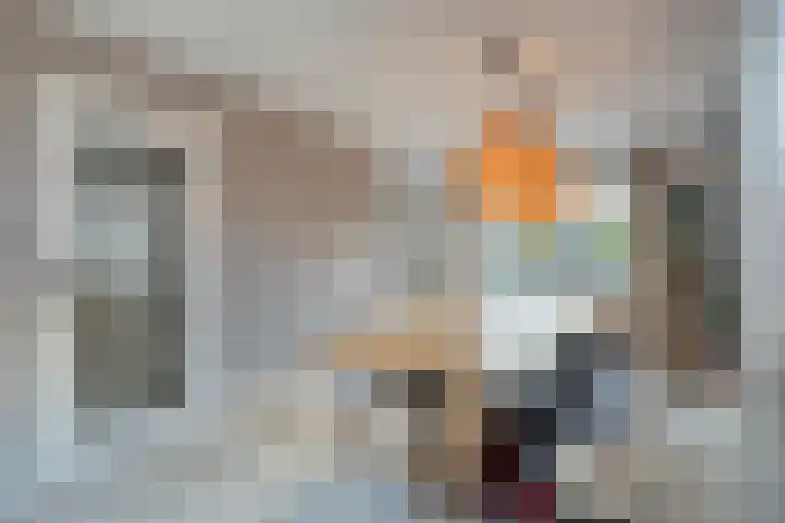 De Berken 1 Koekange thumbnail 11
