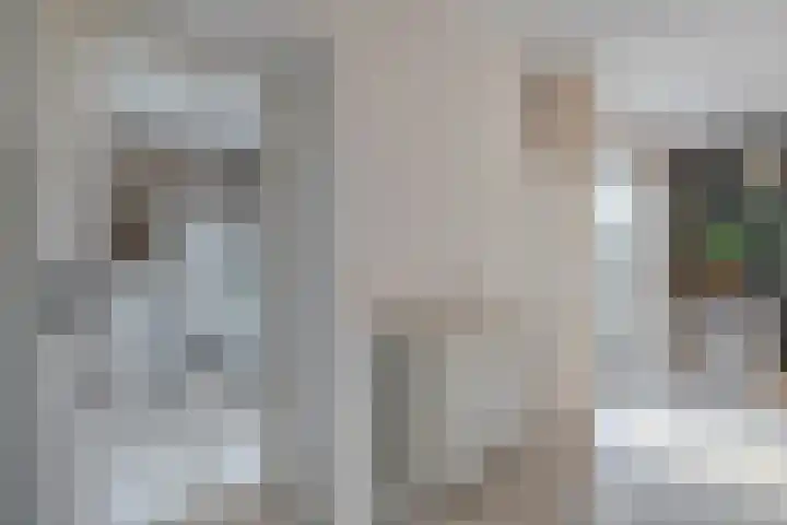 De Berken 1 Koekange thumbnail 14