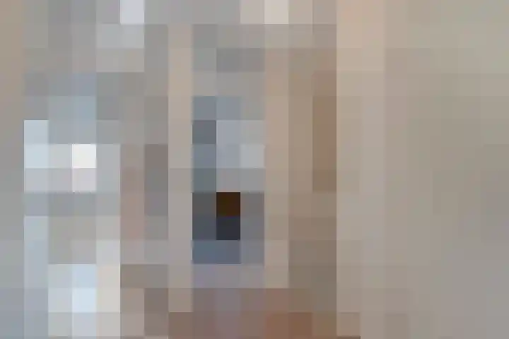 De Berken 1 Koekange thumbnail 25