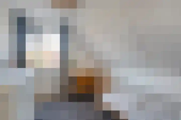 De Berken 1 Koekange thumbnail 29