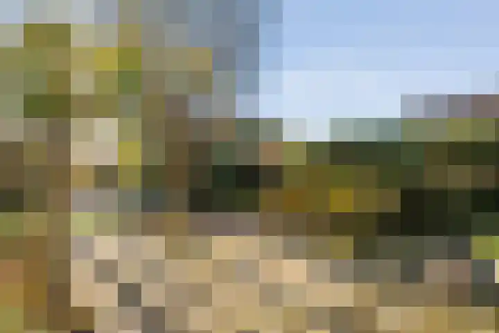 De Berken 1 Koekange thumbnail 36
